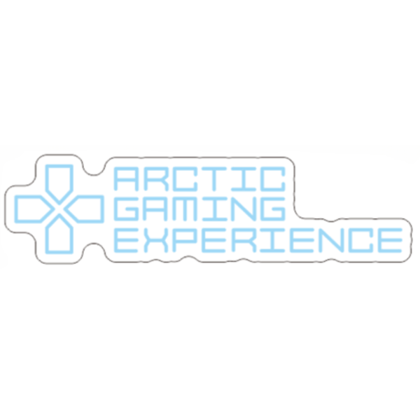 Arctic Gaming Experience neon sign 70 x 17 cm